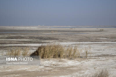  یک استاد دانشگاه: بیشتر مسائل اجتماعی در خوزستان به دلیل مساله آب و هواست
