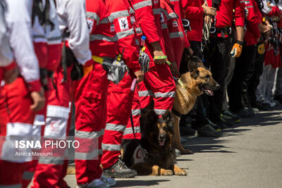  یک مسئول: هلال احمر امسال به ۴ میلیون نفر خدمات ارائه داده است