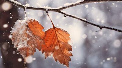  شروع بارش‌ها از اواخر هفته جاری در همدان