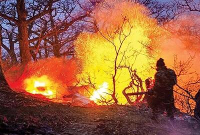 سازمان محیط زیست هشدار داد: آتش‌سوزی جنگل‌های الیت را سیاسی نکنید