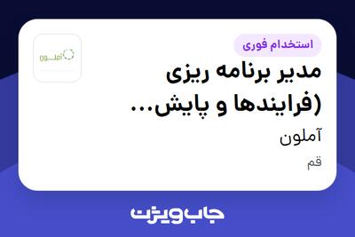  استخدام مدیر برنامه ریزی (فرایندها و پایش عملکرد) در آملون