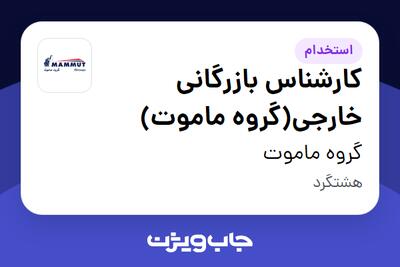  استخدام کارشناس بازرگانی خارجی(گروه ماموت) در گروه ماموت