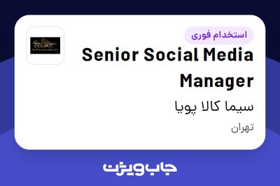  استخدام Senior Social Media Manager در سیما کالا پویا