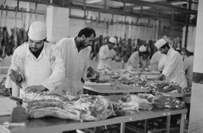  کشتارگاه تهران ۷۰ ساله شد! + عکس‌های تاریخی از مکانی که وجود ندارد