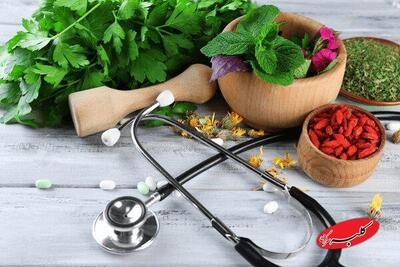  عدم آشنایی عملی با تجاری‌سازی، چالش اصلی فرآورده‌های طبیعی - کلبه سرگرمی