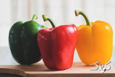 تفاوت فلفل دلمه ای نر و ماده ؛ فلفل دلمه نر برای پخت و پز است یا ماده ؟ - مجله اینترنتی کولاک