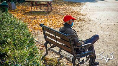 آخرین اخبار بازنشستگان و مستمری بگیران تامین اجتماعی امروز یکشنبه ۲۳ آذر ماه ۱۴۰۴ + خبر مهم برای بازنشستگان - مجله اینترنتی کولاک