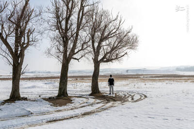 عکس/ طبیعت برفی دامنه‌های سهند