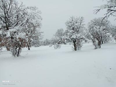  بارش برف در خوزستان