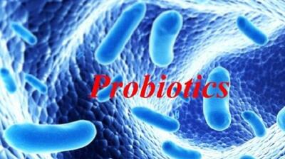  میگنا - نکاتی درباره پروبیوتیک‌ها