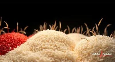 قیمت برنج ایرانی امروز آشپزخانه‌ها را تحت تأثیر قرار داد | قیمت برنج ایرانی امروز یکشنبه 23 آذر 1404 + جدول قیمت