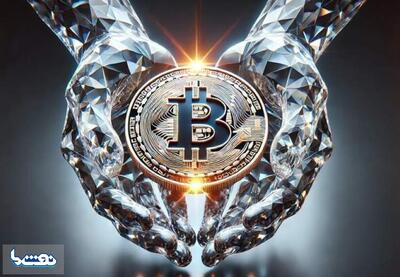 بزرگترین دارندگان بیت‌کوین کدامند؟ | نفت ما