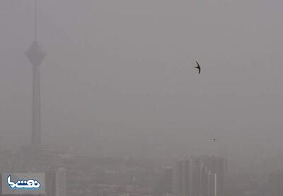 علت آلودگی هوای تهران چیست؟ | نفت ما