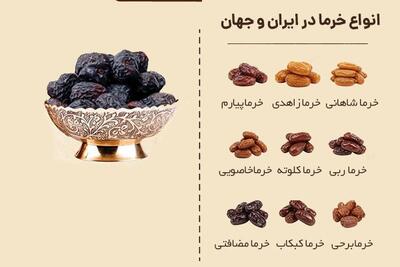  معروفترین انواع خرما در ایران و جهان - روزنامه رسالت