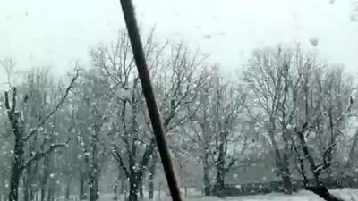  بارش برف سنگین در تویسرکان همدان + فیلم