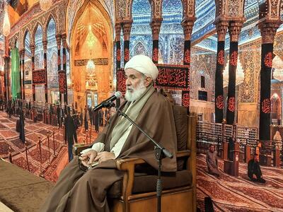  تأکید آیت‌الله محمدی خراسانی بر عقلانیت در دعوت به دین
