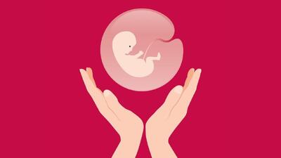  نماینده مجلس: سقط جنین ۵۰ درصد کاهش یافته است