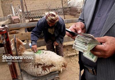 بازار دام مهدتوس مشهد با مهار تب برفکی بازگشایی شد (۲۳ آذر ۱۴۰۴)