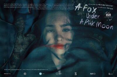 استقبال مخاطبان از اکران «روباه و ماه صورتی» در جشنواره سینما حقیقت