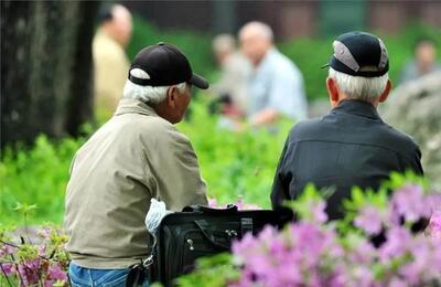 میانگین سن بازنشستگی و تعداد حقوق‌ بگیران صندوق بازنشستگی کشوری مشخص شد
