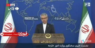 واکنش سخنگوی وزارت امور خارجه به بازگشت عضو تیم ملی اسکی به ایران + ویدئو