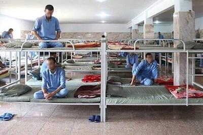 هزینه روزانه نگهداری هر معتاد چقدر است؟ | سیاست روز