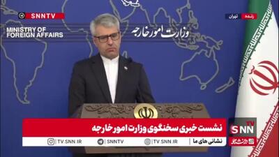  بقایی: در سند امنیت ملی آمریکا با تعابیر بسیار بدی از اروپا یاد شده است/  سیاست‌ورزی برخی کشورهای اروپایی در یکی دو سال اخیر به هیچ‌عنوان مستقل نبوده است