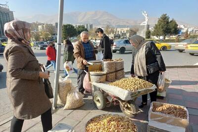  فعالیت ۲۴ اکیپ بازرسی برای نظارت بر بازار شب یلدا در کردستان / ۴ واحد صنفی پلمپ شد