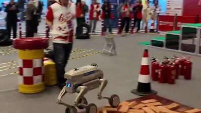  اجلاس جهانی پیشگامان توسعه‌دهندگان 2025 و مسابقه بین‌المللی هوش تجسمی در 13 دسامبر در شانگهای افتتاح شد