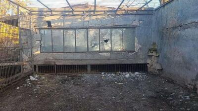  نیروهای مسلح اوکراین از دو پهپاد برای حمله به باغ وحش واسیلیفسکی در منطقه زاپروژیا استفاده کردند