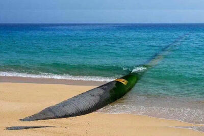 ۵۸ هزار لیتر سوخت قاچاق در خوزستان کشف شد