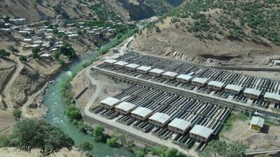 تولید سالانه ۵ هزار و ۵۷۷ تن آبزی در کردستان| صادرات ۶۰۰ تن به داخل و خارج از کشور