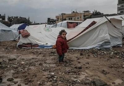 تحولات غزه|سرما و طوفان بلای جان ساکنان غزه در چادرهای فرسوده - تسنیم