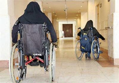 32 درصد معلولیت‌های خراسان رضوی جسمی‌حرکتی است/42 هزار نفر دارای اختلالات ذهنی - تسنیم