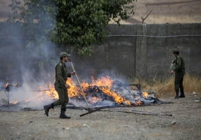 امحای 660 کیلوگرم انواع مواد مخدر در کرمانشاه - تسنیم