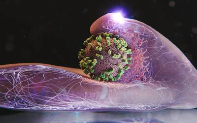  لحظه نفوذ ویروس آنفولانزا به سلول انسان + ویدیو