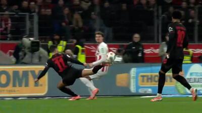 گل عقربی تماشایی تریر به کلن!