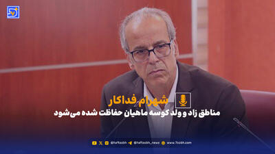  مناطق زاد و ولد کوسه ماهیان حفاظت شده می‌شود