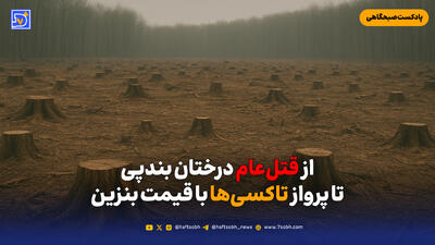  از قتل‌عام درختان بندپی تا پرواز تاکسی‌ها با قیمت بنزین