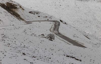 بارش برف و مه‌گرفتگی در چهارمحال و بختیاری / رانندگان احتیاط کنند