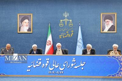 دستور مجدد قاضی‌القضات به سازمان بازرسی کل کشور: مسئله ارز و نوسانات ارزی را رها نکنید