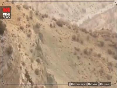  مشاهده خانواده خرس قهوه‌ای در دنا