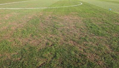 واکنش مدیرکل ورزش استان تهران به افت کیفیت زمین چمن ورزشگاه شهر قدس