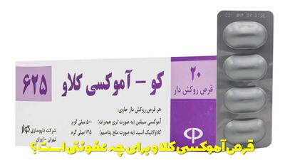  قرص آموکسی کلاو برای چه عفونتی است؟ کو آموکسی کلاو برای عفونت گلو هر چند ساعت