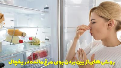  روش های از بین بردن بوی مرغ مانده در یخچال | چگونه بوی بد مرغ در یخچال را از بین ببریم؟