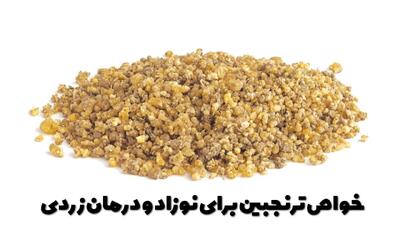  خواص ترنجبین برای نوزاد و درمان زردی + مقدار مصرف ترنجبین برای نوزاد