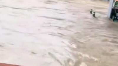  سیل ویرانگر در واشنگتن