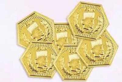 قیمت سکه پارسیان امروز دوشنبه ۲۴ آذر ۱۴۰۴ اعلام شد / سکه پارسیان 400 سوت چند؟ + جدول