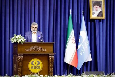 کمالوندی: بازرسی‌های اخیر آژانس با اجازه شورای عالی امنیت ملی بوده است