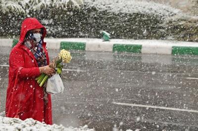 هواشناسی: از امروز تا چهارشنبه در برخی استان‌ها برف می‌بارد